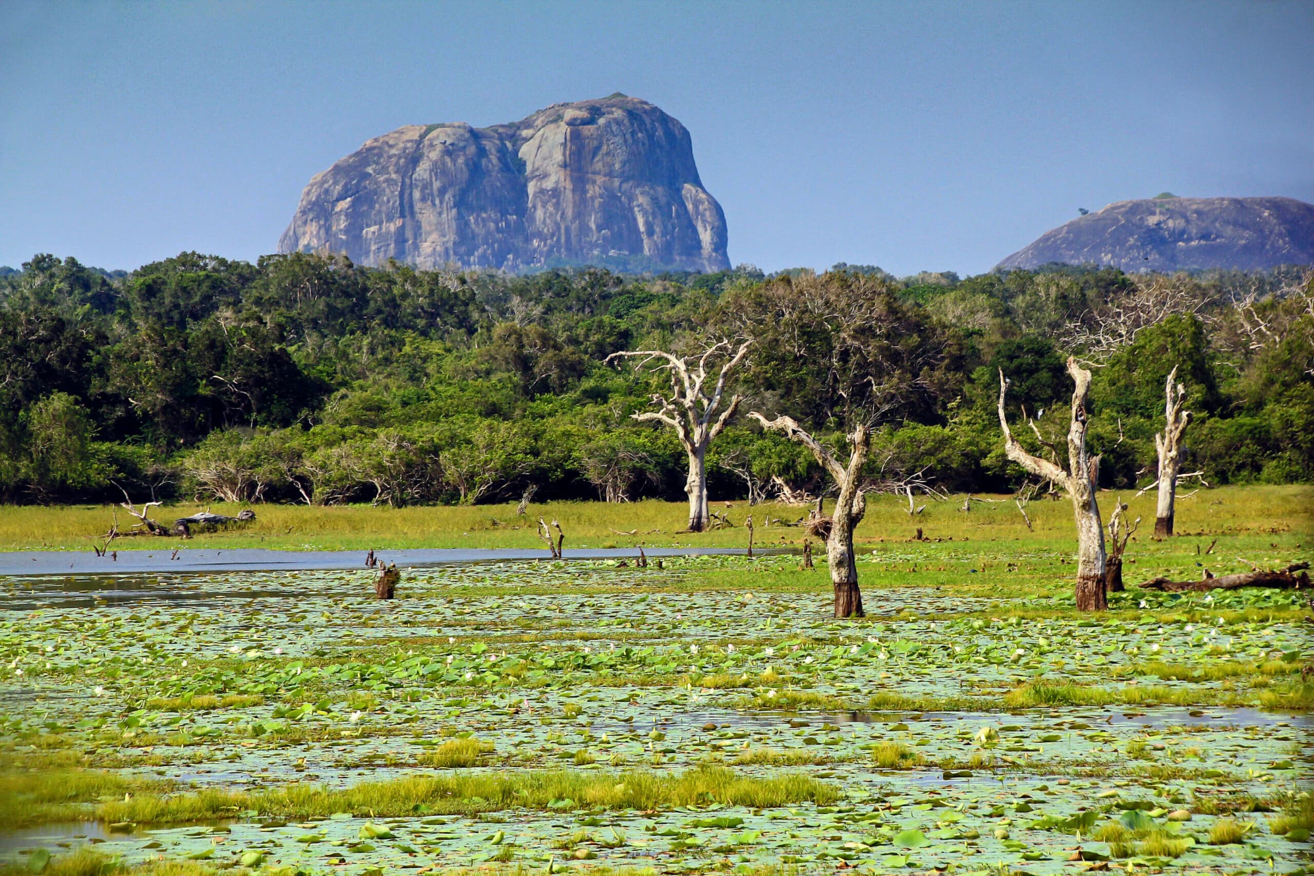 Sigiriya 1